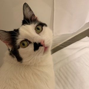 Meet your Posher, Robyn